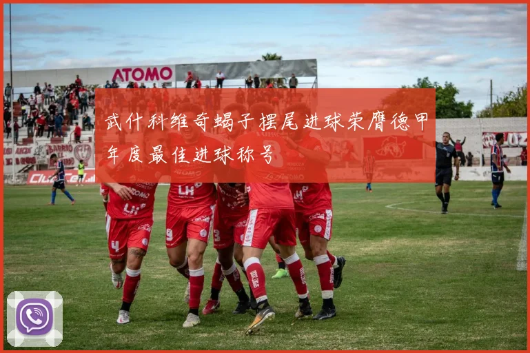 武什科维奇蝎子摆尾进球荣膺德甲年度最佳进球称号